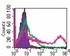 Anti-TLR4 Mouse Monoclonal Antibody (FITC (Fluorescein)) [clone: HTA125]