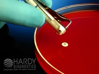 HardyDisks™ AST Optochin, HardyDisk™, Hardy Diagnostics