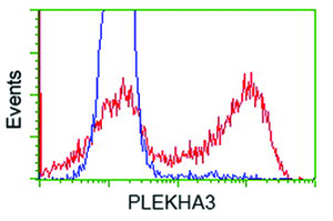 Anti-PLEKHA3 Mouse Monoclonal Antibody [clone: OTI5D11]