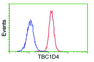 Anti-TBC1D4 Mouse Monoclonal Antibody [clone: OTI5A6]