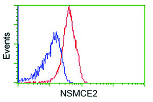 Anti-NSMCE2 Mouse Monoclonal Antibody [clone: OTI6A6]