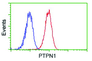 Anti-PTPN1 Mouse Monoclonal Antibody [clone: OTI1B4]