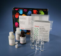 Pierce™ Western Blotting Kits, Far-Western Blot Kit for Biotinylated Proteins, Thermo Scientific