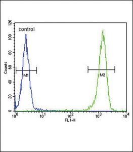 Anti-MC2R Rabbit Polyclonal Antibody (PE (Phycoerythrin))