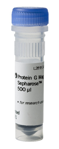 Protein G Mag Sepharose, Cytiva