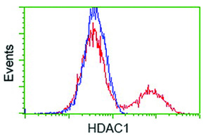 Anti-HDAC1 Mouse Monoclonal Antibody [clone: OTI5C3]