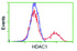 Anti-HDAC1 Mouse Monoclonal Antibody [clone: OTI5C3]