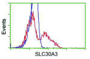 Anti-SLC30A3 Mouse Monoclonal Antibody [clone: OTI2H6]