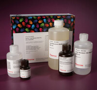 Pierce™ Fast Western Blot Kit, ECL Substrate, Thermo Scientific