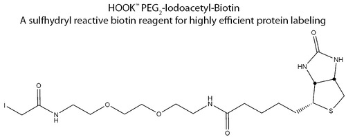 HOOK™ Sulfhydryl Reactive Biotin Reagents and Kits for Highly Efficient Protein Labeling, G-Biosciences