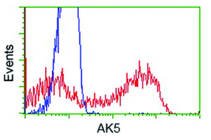 Anti-AK5 Mouse Monoclonal Antibody [clone: OTI1C5]