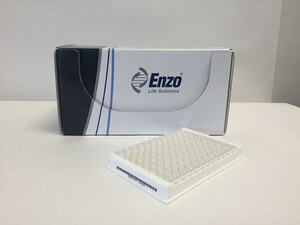 Protein A ELISA Kit, Enzo Life Sciences