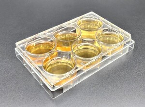 Multiwell cell culture plates