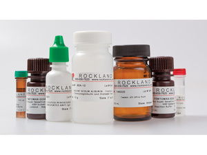 Chemiluminescent western blot kits, FemtoMax™