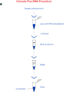 Extracta Plus DNA procedure. This procedure can be completed in just 15 mins, following sample pre-treatment, resulting in ready-to-use DNA for sensitive downstream applications such as endpoint PCR, qPCR and NGS.