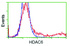 Anti-HDAC6 Mouse Monoclonal Antibody [clone: OTI3F9]