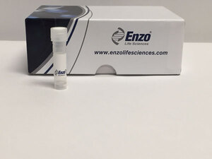 Brain (Rat), (Tissue Extract), Enzo Life Sciences