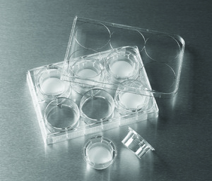 Clear inserts, polyester (PET) membrane, Transwell®