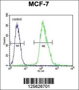 Anti-MFAP4 Rabbit Polyclonal Antibody (APC (Allophycocyanin))