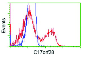 Anti-HID1 Mouse Monoclonal Antibody [clone: OTI2H6]