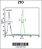 Anti-SLC51A Rabbit Polyclonal Antibody (HRP (Horseradish Peroxidase))