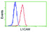 Anti-L1CAM Mouse Monoclonal Antibody [clone: OTI2C7]