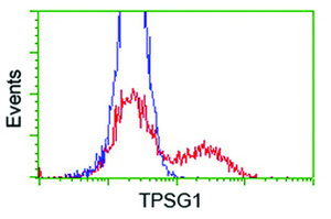 Anti-TPSG1 Mouse Monoclonal Antibody [clone: OTI2A10]