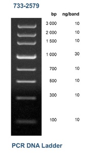 PCR ladder, 100 to 3000 bp
