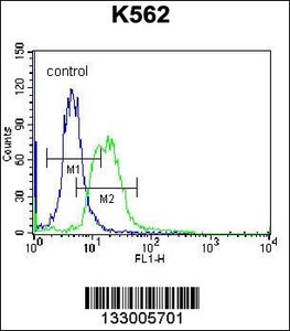 Anti-MPP3 Rabbit Polyclonal Antibody (Biotin)