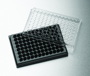 Cell culture inserts