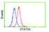 Anti-STAT5A Mouse Monoclonal Antibody [clone: OTI3D2]
