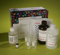 SuperSignal™ West HisProbe Kit, Thermo Scientific