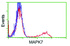 Anti-MAPK7 Mouse Monoclonal Antibody [clone: OTI4D6]