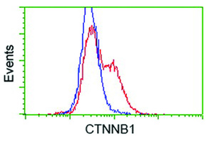 Anti-CTNNB1 Mouse Monoclonal Antibody [clone: OTI3C6]