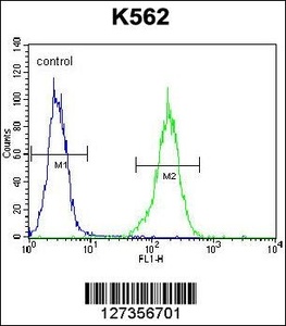 Anti-NKAIN1 Rabbit Polyclonal Antibody (HRP (Horseradish Peroxidase))