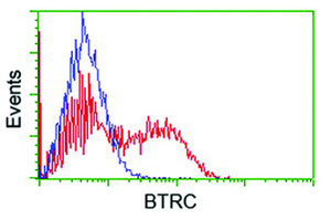 Anti-BTRC Mouse Monoclonal Antibody [clone: OTI2H2]