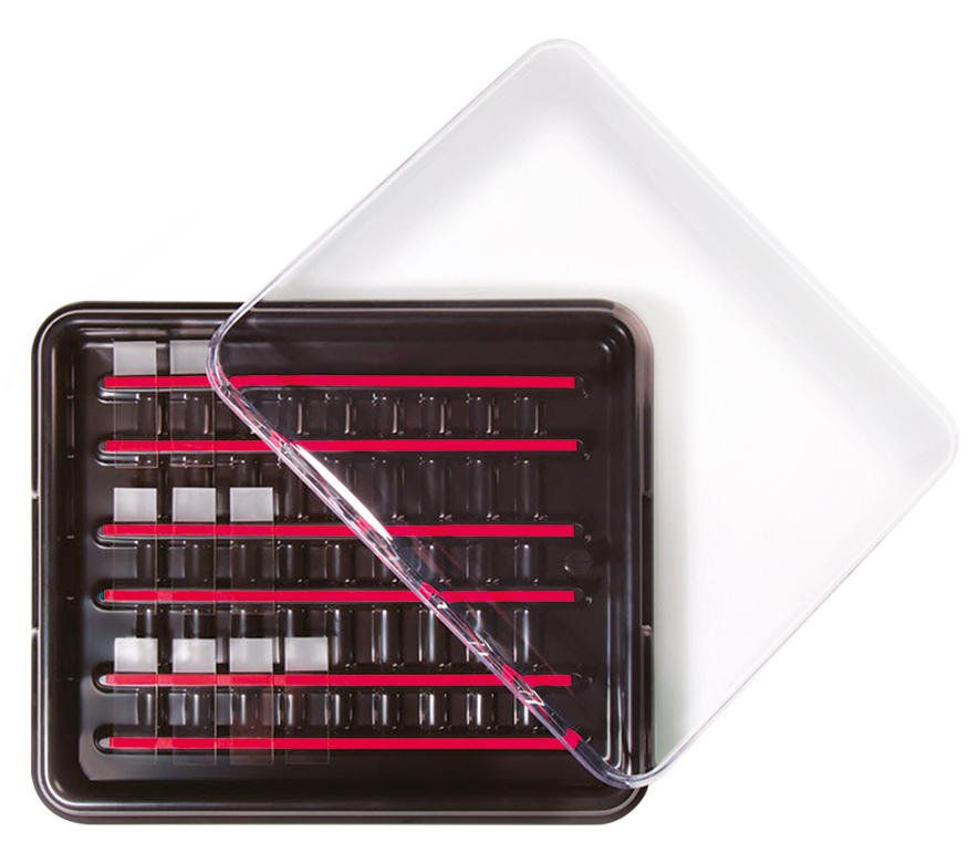 StainTray™ Slide Staining System, Simport Scientific