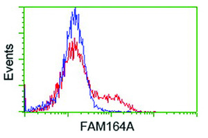 Anti-ZC2HC1A Mouse Monoclonal Antibody [clone: OTI4C1]