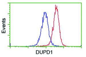 Anti-DUPD1 Mouse Monoclonal Antibody [clone: OTI7E4]