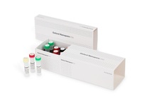 Rapid PCR Barcoding Kit 24 V14, Oxford Nanopore Technologies