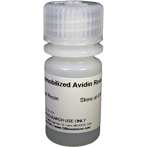 Immobilised Avidin for Biotin Purification