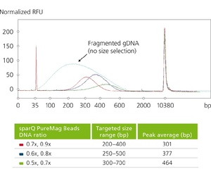 Electropherogram of fragmented human genomic DNA pre- and post double-sided size selection. Different sparQ PureMag Beads to DNA ratios were used to achieve various targeted size range.