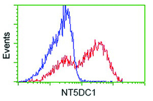 Anti-NT5DC1 Mouse Monoclonal Antibody [clone: OTI1B1]