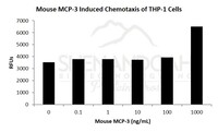 Mouse Recombinant MCP-3 / CCL7 (from E. coli)