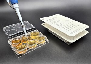 Multiwell cell culture plates