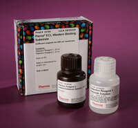 Pierce™ ECL Western Blotting Substrate, Thermo Scientific
