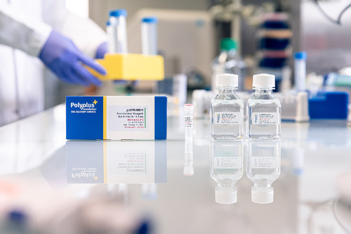 jetPRIME®, DNA and siRNA Transfection Reagent, Polyplus-transfection