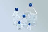 VWR® Cell Culture Flasks Treated for Increased Cell Attachment, Sterile