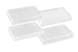 Corning® Permeable Supports, Polycarbonate (PC) Membrane, Corning