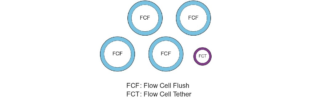Flow Cell Priming Kit